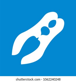 nutcracker  icon vector