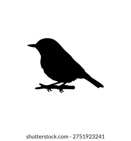 nuthatch bird silhouette vector flat illustration design.