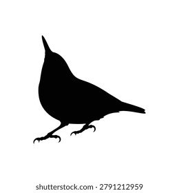 Nuthatch bird silhouette vector flat illustration design.