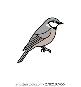 Nuthatch Bird Vector Illustration Isolated Graphic