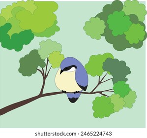 nuthatch se sienta en una rama y duerme