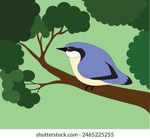 nuthatch sitting on a tree branch