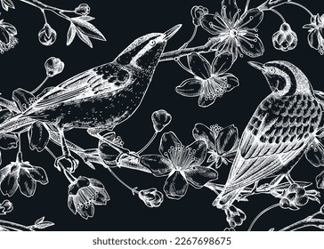 Nuthatches on cherry blossom sketch background in engraved style. Vintage spring seamless pattern with birds and sakura drawing. Botanical vector illustration of blooming branches isolated on black