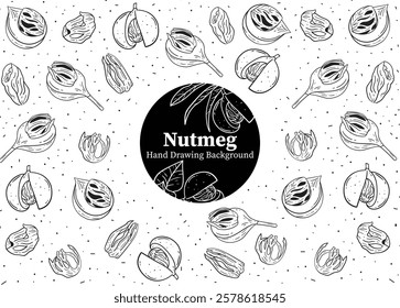 Nutmeg black ink hand drawn background. black and white image design vector, line art, ornament design, aesthetic
