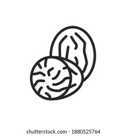 Nutmeg black line icon. Isolated vector element. Outline pictogram for web page, mobile app, promo