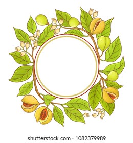 nutmeg branch vector frame