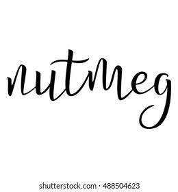 Nutmeg. Calligraphic Text. Cooking Spice. Typographic Design. Black Hand Lettering Text Isolated on White Background. For Posters, Design. Vector illustration