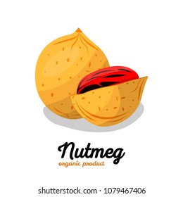 Nutmeg in cartoon style. Nut Illustration for template label, packing and emblem farmer market design. Nut food of  nutmeg icon.