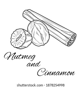 
Nutmeg and cinnamon.Coloring. Illustration isolated on white background.Zen-tangle style.