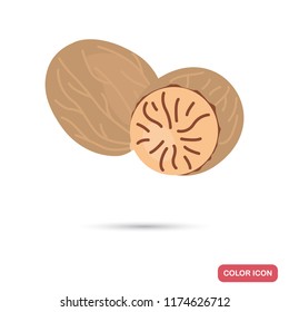 Nutmeg color flat icon