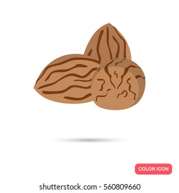 Nutmeg color flat icon for web and mobile design
