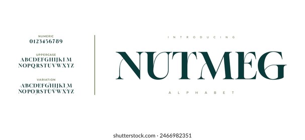 Nutmeg elegant font alphabet uppercase lowercase and number. Classic lettering minimal fashion designs. Typography modern serif fonts regular decorative vintage concept. Vector illustration