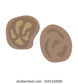 nutmeg flat icon on white background. You can be used nutmeg icon for several purposes.
