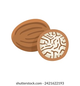 Ilustración vectorial de estilo plano Nutmeg. Nutmeg sobre fondo blanco.