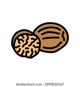 nutmeg food herb color icon vector. nutmeg food herb sign. isolated symbol illustration