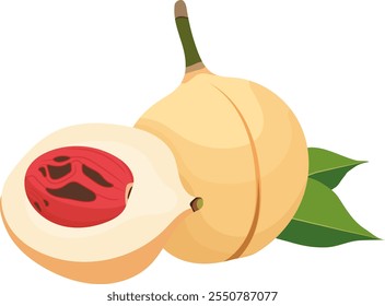 Nutmeg Fruit with Sliced and Leaves Illustration Isolated on White Background