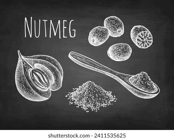 Nutmeg. Ground spice. Chalk sketch on blackboard background. Hand drawn vector illustration. Vintage style.