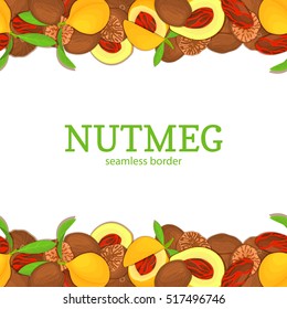 Nutmeg Horizontal seamless border. Vector illustration card top and bottom of a delicious pattern nutmeg fruit in the shell whole shelled leaves appetizing looking for packaging design of healthy food