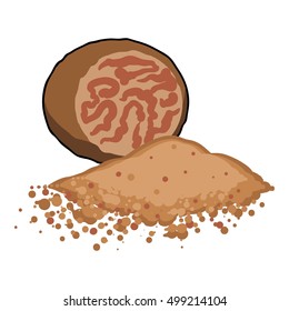 Nutmeg icon in cartoon style isolated on white background. Herb an spices symbol stock vector illustration.