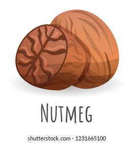 Nutmeg icon. Cartoon of nutmeg vector icon for web design isolated on white background