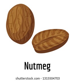 Nutmeg icon. Cartoon of nutmeg vector icon for web design isolated on white background