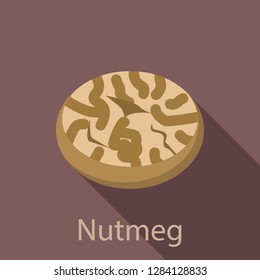 Nutmeg icon. Flat illustration of nutmeg vector icon for web design