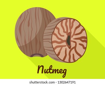 Nutmeg icon. Flat illustration of nutmeg vector icon for web design