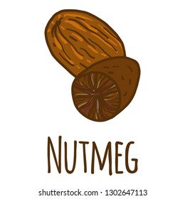 Nutmeg icon. Hand drawn illustration of nutmeg vector icon for web design