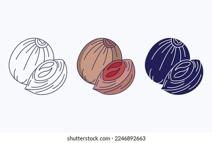 Icono de Nutmeg ,Ilustración vectorial de hierbas