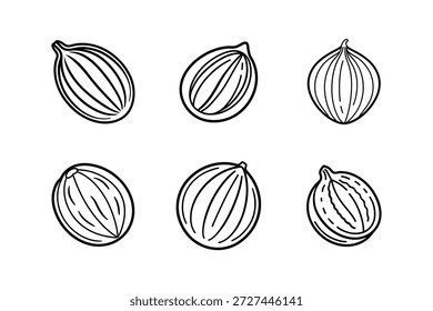Ilustración vectorial de arte de línea de icono de nuez moscada aislada