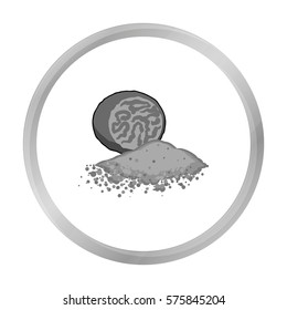 Nutmeg icon in monochrome style isolated on white background. Herb an spices symbol stock vector illustration.