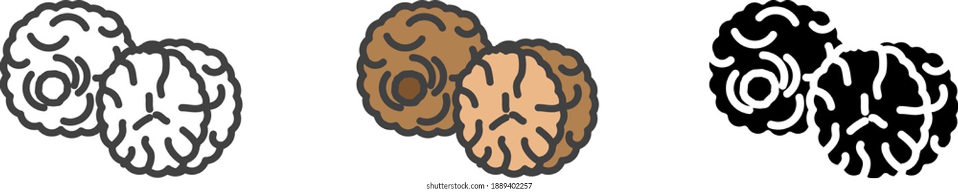 Nutmeg icon, vector line illustration
