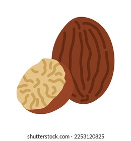 Icono de Nutmeg. Todo y medio nuez aislada en un fondo blanco. Ilustración del vector