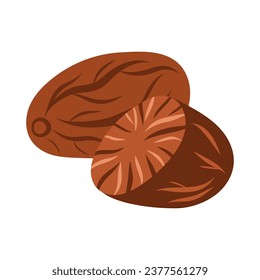 Nutmeg einzeln auf weißem Hintergrund. Einzelne Vektorgrafik