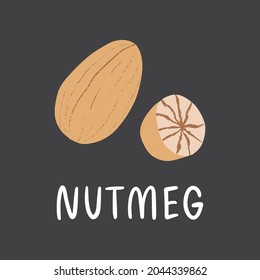 Nutmeg with lettering. Flat hand drawn spice for desserts and food isolated on dark background.