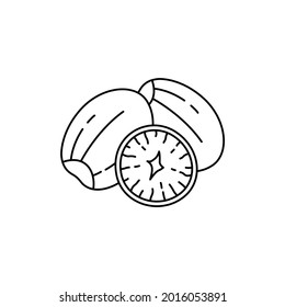 Nutmeg сolor line icon. Essential oils fruit seeds. Pictogram for web page, mobile app, promo. UI UX GUI design element. Editable stroke.