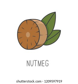 Nutmeg line vector illustration, cooking isolated icon.