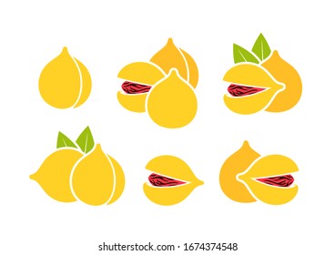 Logo de Nutmeg. Nuez aislada sobre fondo blanco