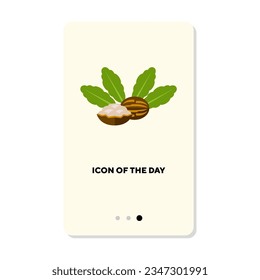 Nutmeg for making aromatic spices flat vector icon. Fresh ingredient for seasoning cooking isolated vector illustration. Food and health, flavoring concept for web design and apps