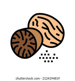 nutmeg nut color icon vector. nutmeg nut sign. isolated symbol illustration