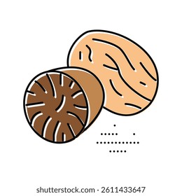 nutmeg nut color icon vector. nutmeg nut sign. isolated symbol illustration