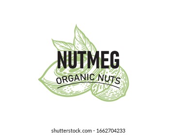 Nutmeg Nuss handgezeichnet Skizze mit Textetikett.