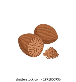 Nutmeg nut and powder. Vector illustration of cartoon flat icon isolated on white.