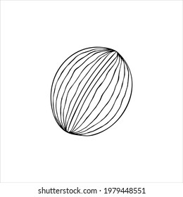 Nutmeg nut seed hand drawn vector isolated on white background. Nutmeg butter food ingredient. Illustration in doodle style. Organic Food, cosmetics, treatment component