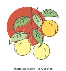 Icono dibujado a mano por nutmeg nutmeg spice colorido vectorial ilustración para impresión
