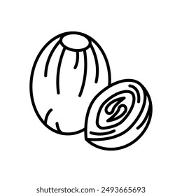 Nutmeg Outline Icon, Vector illustration