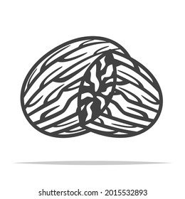 Nutmeg outline icon vector isolated