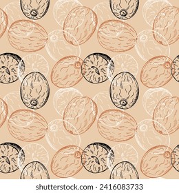 Nutmeg sketch seamless pattern engraved hand drawn vector illustration repeating background with nuts. Backdrop Mace plant, spicy nut design rapport for cooking, medicine, perfumery for textile, print