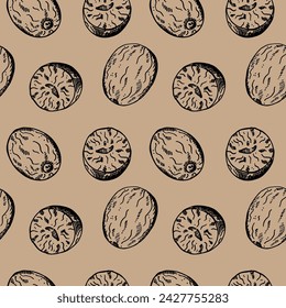 Nuez moscada boceto patrón sin fisuras grabado dibujado a mano ilustración vectorial de fondo repetitivo con tuercas. Planta de maza de fondo, relación de diseño de tuerca picante para cocinar, medicina, perfumería para textiles, impresión