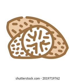 nutmeg spice color icon vector. nutmeg spice sign. isolated symbol illustration